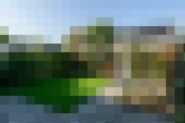 Oranjelaan 20 Oud-Alblas thumbnail 4