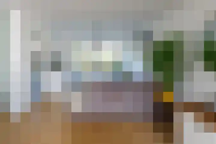 Oranjelaan 20 Oud-Alblas thumbnail 8