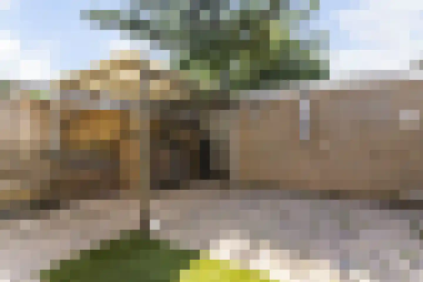 Oranjelaan 20 Rozenburg thumbnail 19