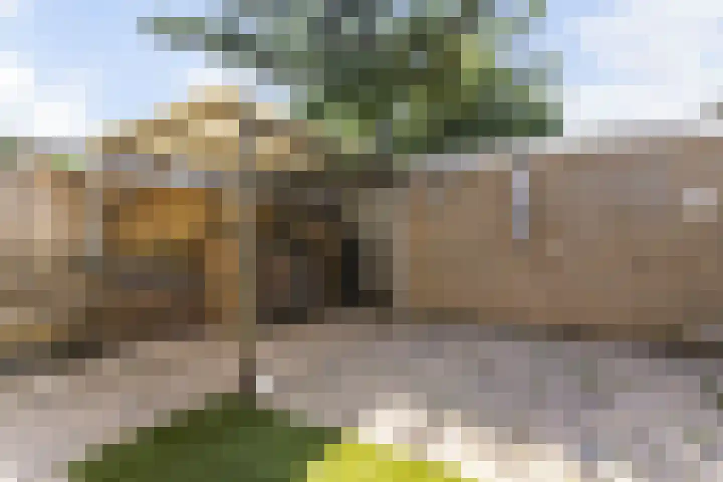Oranjelaan 20 Rozenburg thumbnail 20