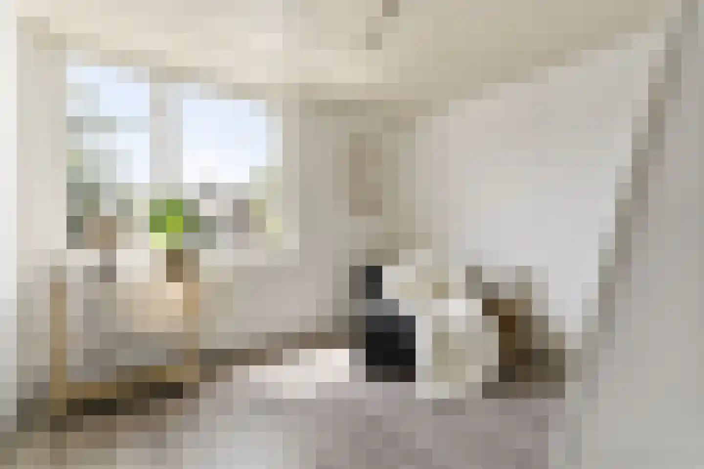 Oranjelaan 20 Rozenburg thumbnail 23