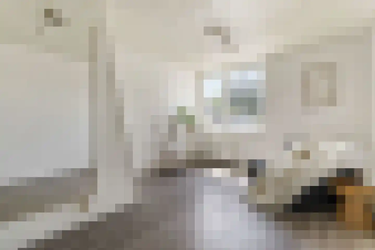 Oranjelaan 20 Rozenburg thumbnail 26