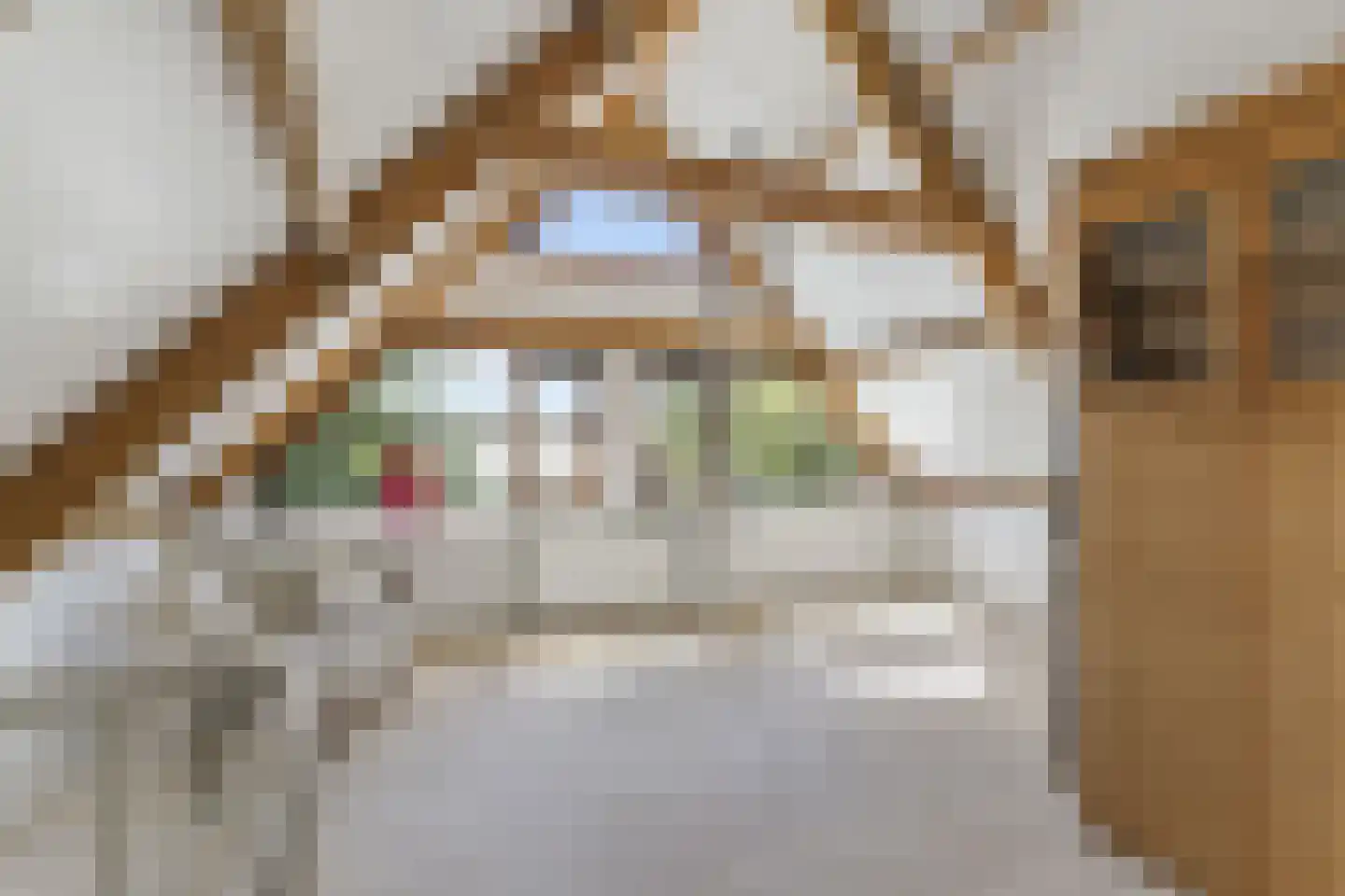 Oranjelaan 20 Rozenburg thumbnail 34