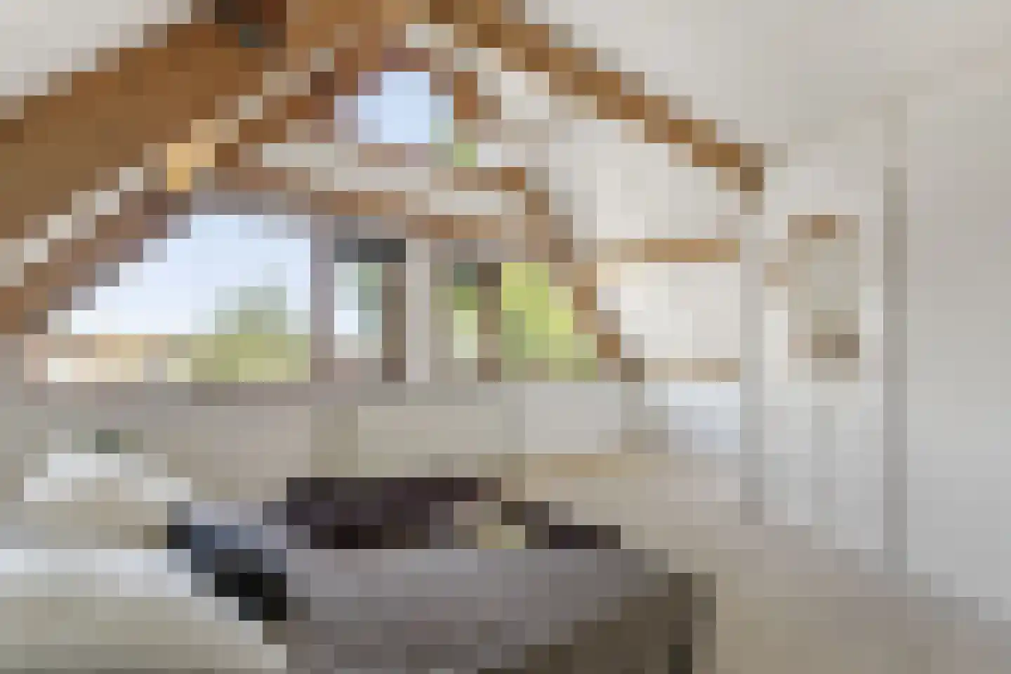 Oranjelaan 20 Rozenburg thumbnail 36