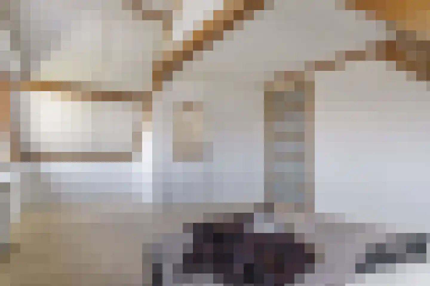 Oranjelaan 20 Rozenburg thumbnail 36