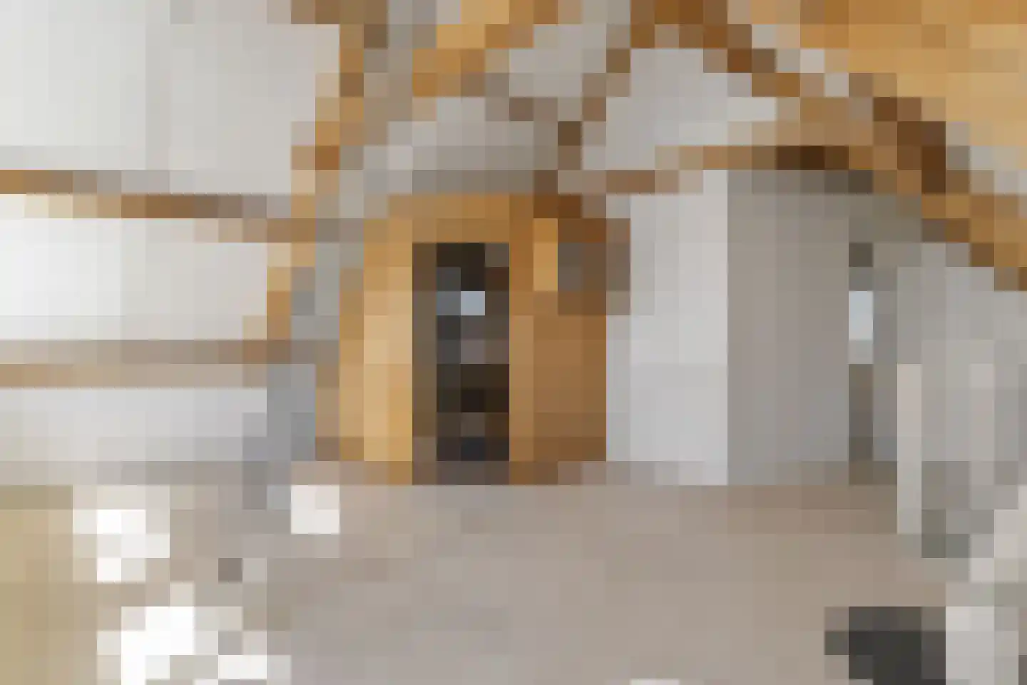 Oranjelaan 20 Rozenburg thumbnail 37