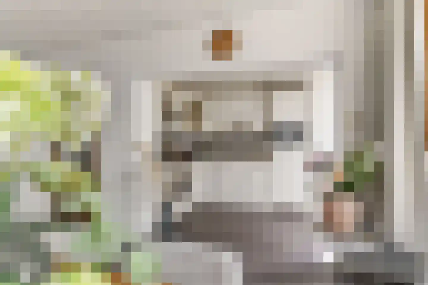 Oranjelaan 20 Rozenburg thumbnail 4