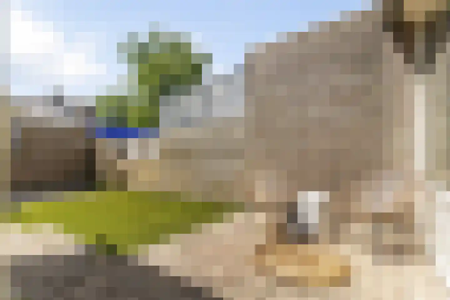 Oranjelaan 20 Rozenburg thumbnail 5