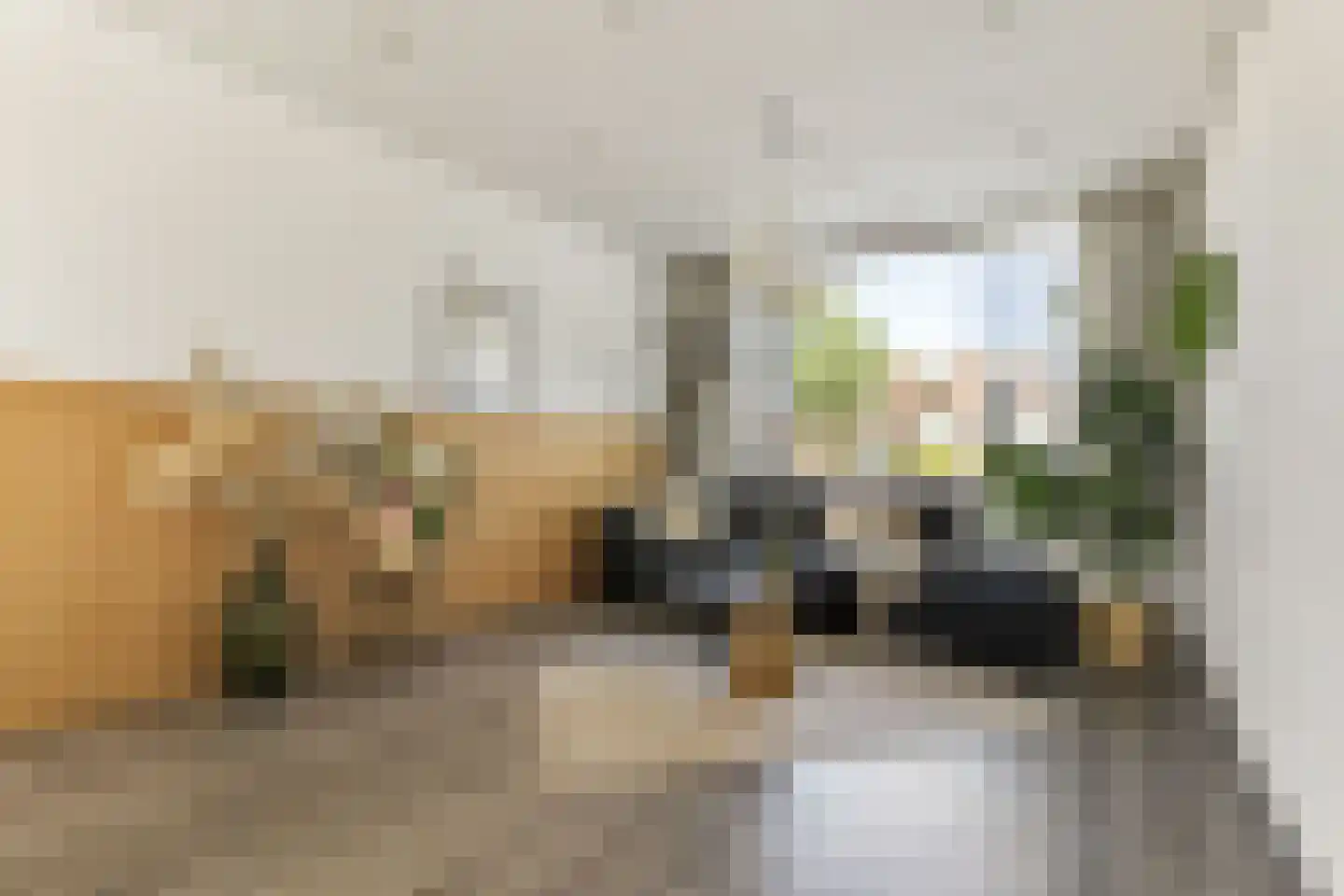 Oranjelaan 20 Rozenburg thumbnail 8