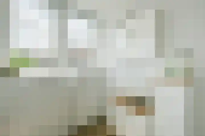 Oranjelaan 20 Uithoorn thumbnail 17