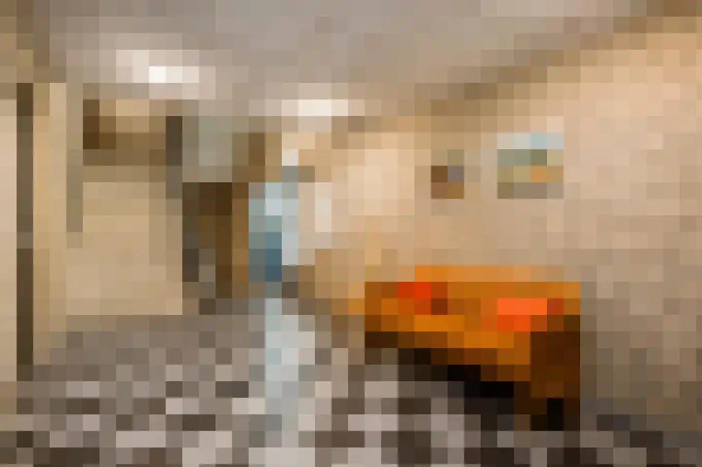 Oranjelaan 21 B 6 Roermond thumbnail 10
