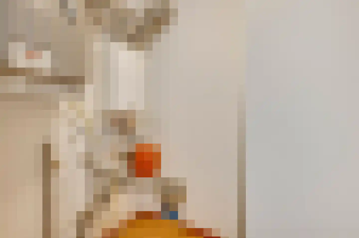 Oranjelaan 21 B 6 Roermond thumbnail 30