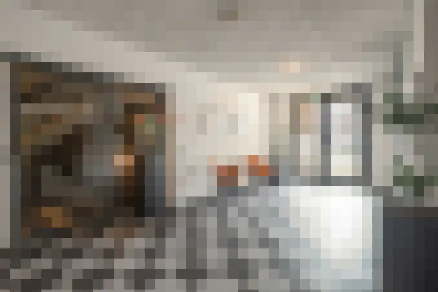 Oranjelaan 21 C 1 Roermond thumbnail 24