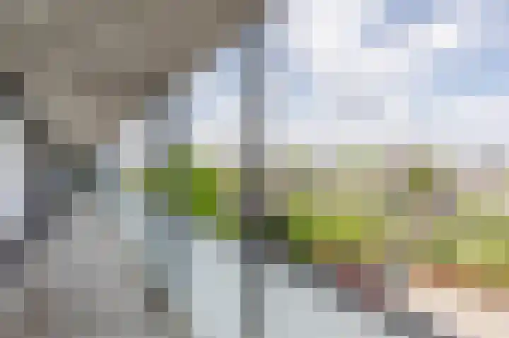 Oranjelaan 21 D 5 Roermond thumbnail 11