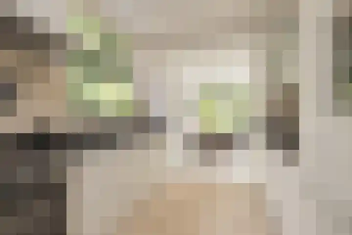 Oranjelaan 21 Oegstgeest thumbnail 10