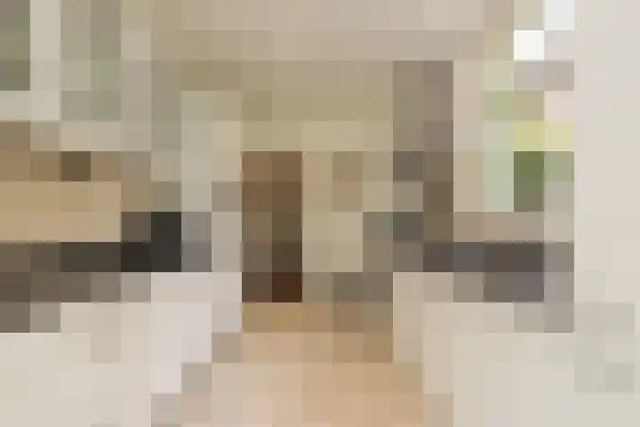 Oranjelaan 21 Oegstgeest thumbnail 11
