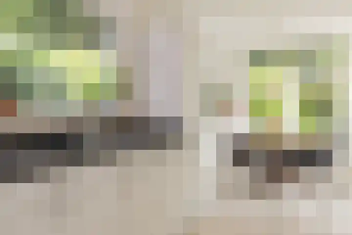 Oranjelaan 21 Oegstgeest thumbnail 12
