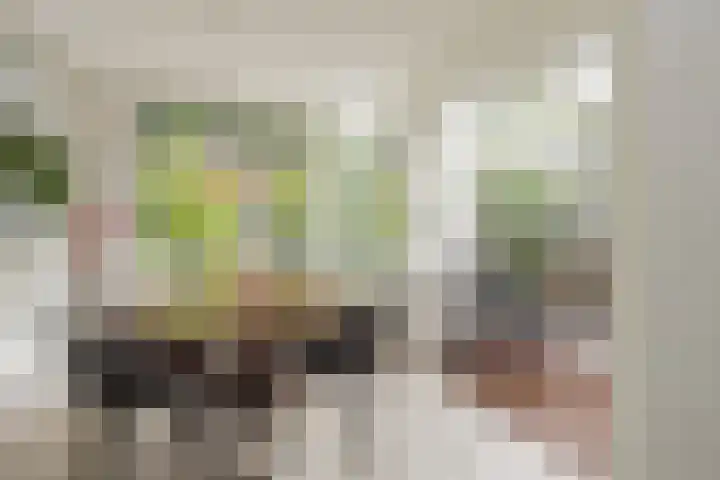 Oranjelaan 21 Oegstgeest thumbnail 13