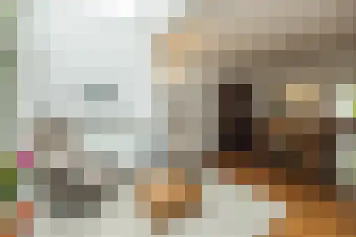 Oranjelaan 21 Oegstgeest thumbnail 15