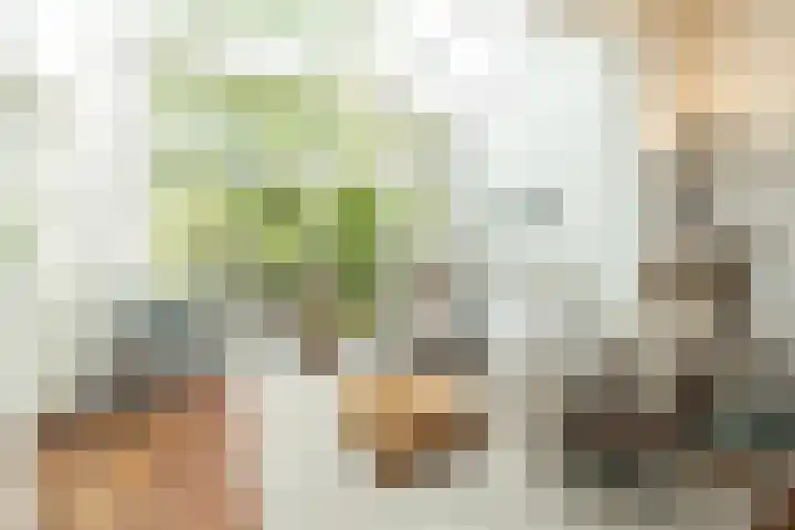 Oranjelaan 21 Oegstgeest thumbnail 16