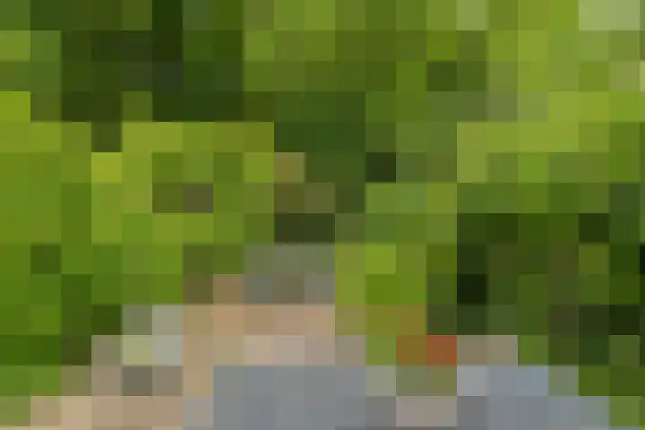 Oranjelaan 21 Oegstgeest thumbnail 27