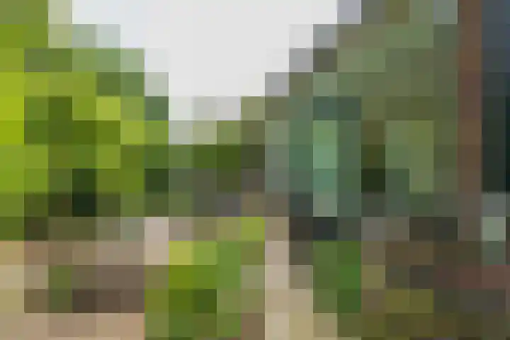 Oranjelaan 21 Oegstgeest thumbnail 28