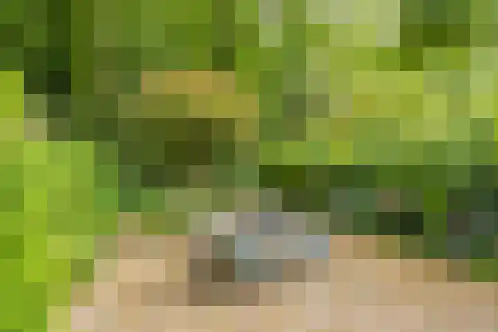 Oranjelaan 21 Oegstgeest thumbnail 29