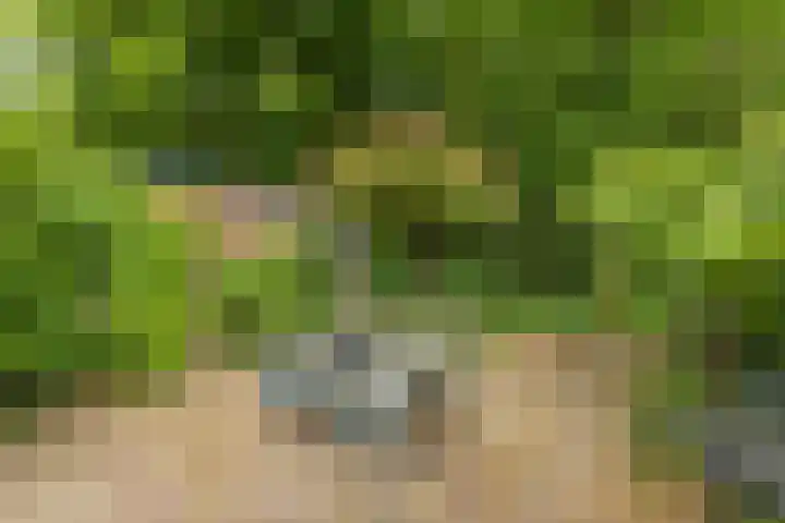 Oranjelaan 21 Oegstgeest thumbnail 30
