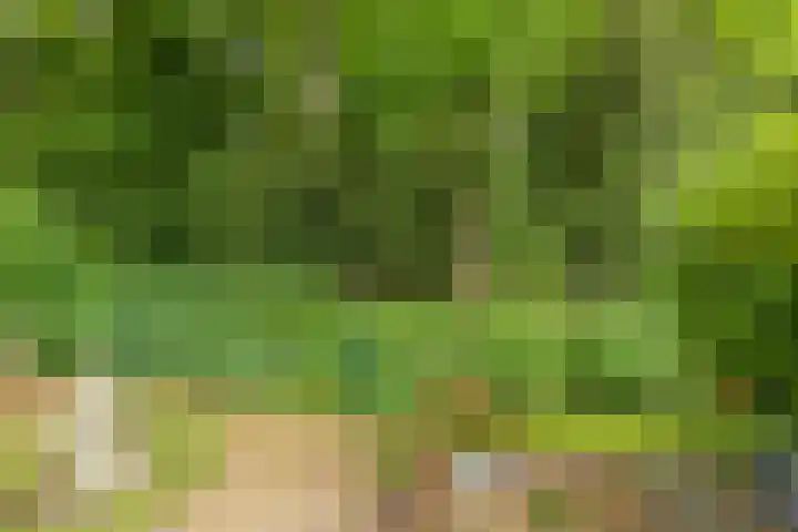 Oranjelaan 21 Oegstgeest thumbnail 31