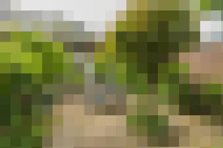 Oranjelaan 21 Oegstgeest thumbnail 32