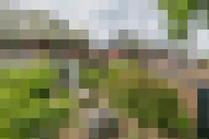Oranjelaan 21 Oegstgeest thumbnail 33
