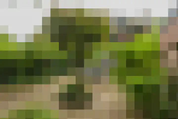 Oranjelaan 21 Oegstgeest thumbnail 34