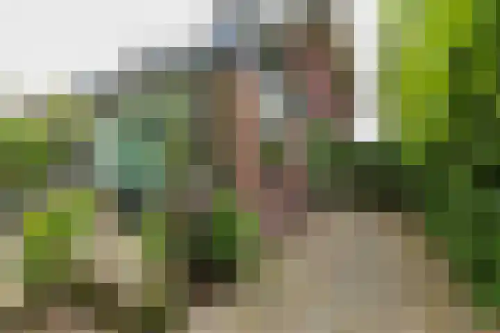 Oranjelaan 21 Oegstgeest thumbnail 35