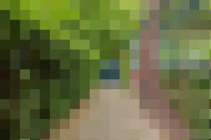 Oranjelaan 21 Oegstgeest thumbnail 36