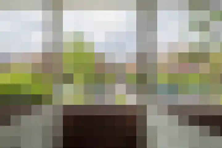 Oranjelaan 21 Oegstgeest thumbnail 45