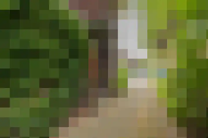 Oranjelaan 21 Oegstgeest thumbnail 5