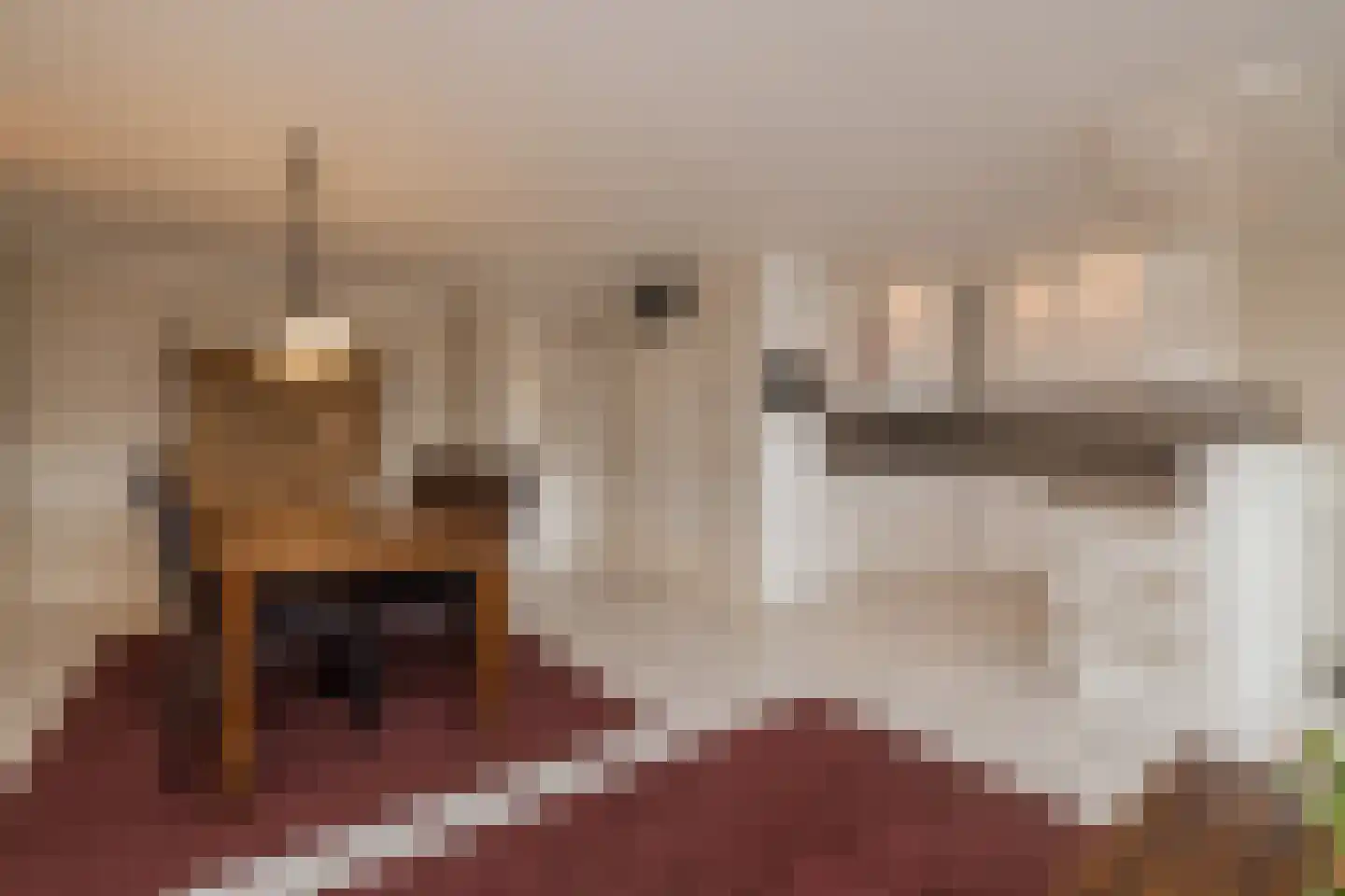 Oranjelaan 21 Rijnsburg thumbnail 15