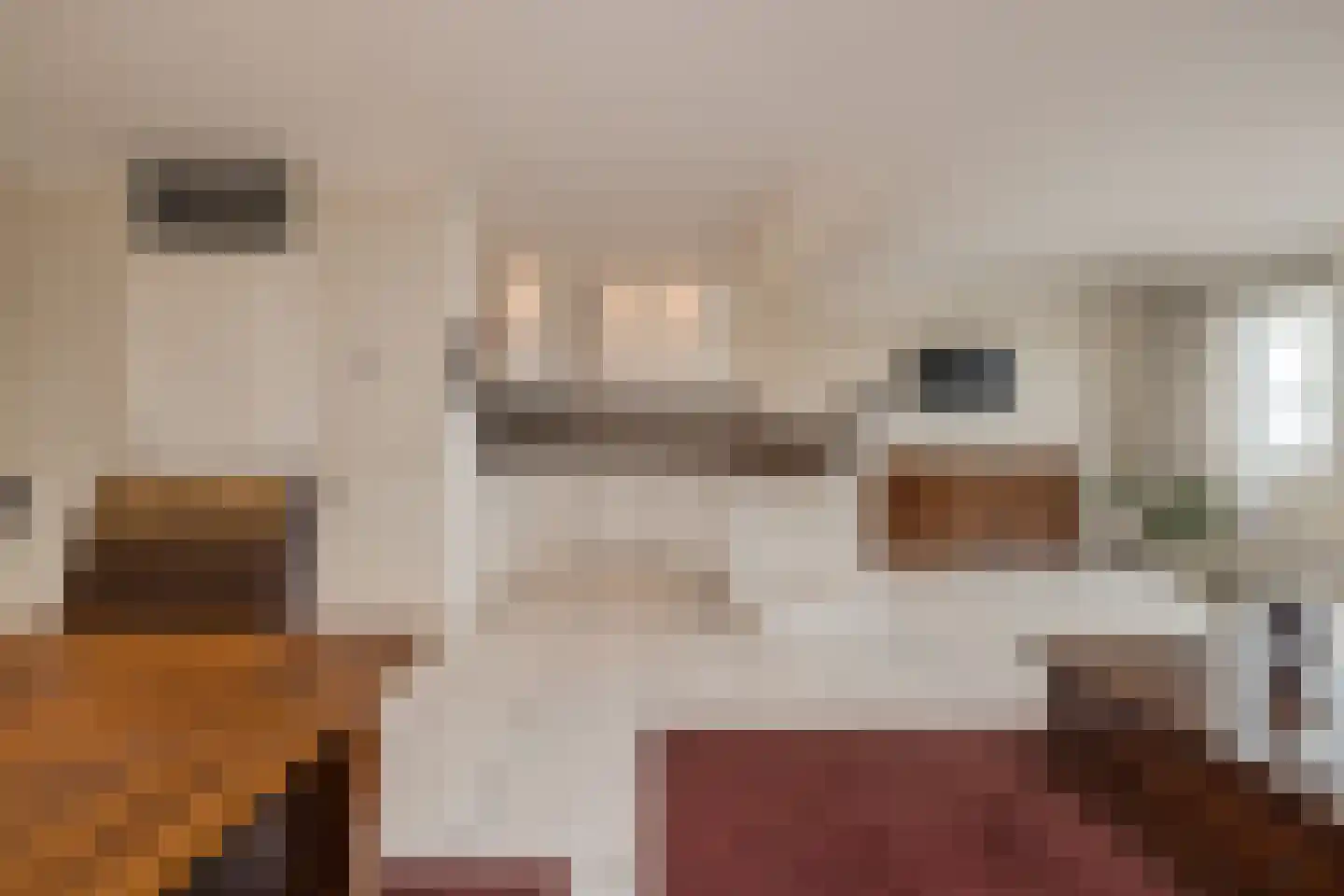 Oranjelaan 21 Rijnsburg thumbnail 17