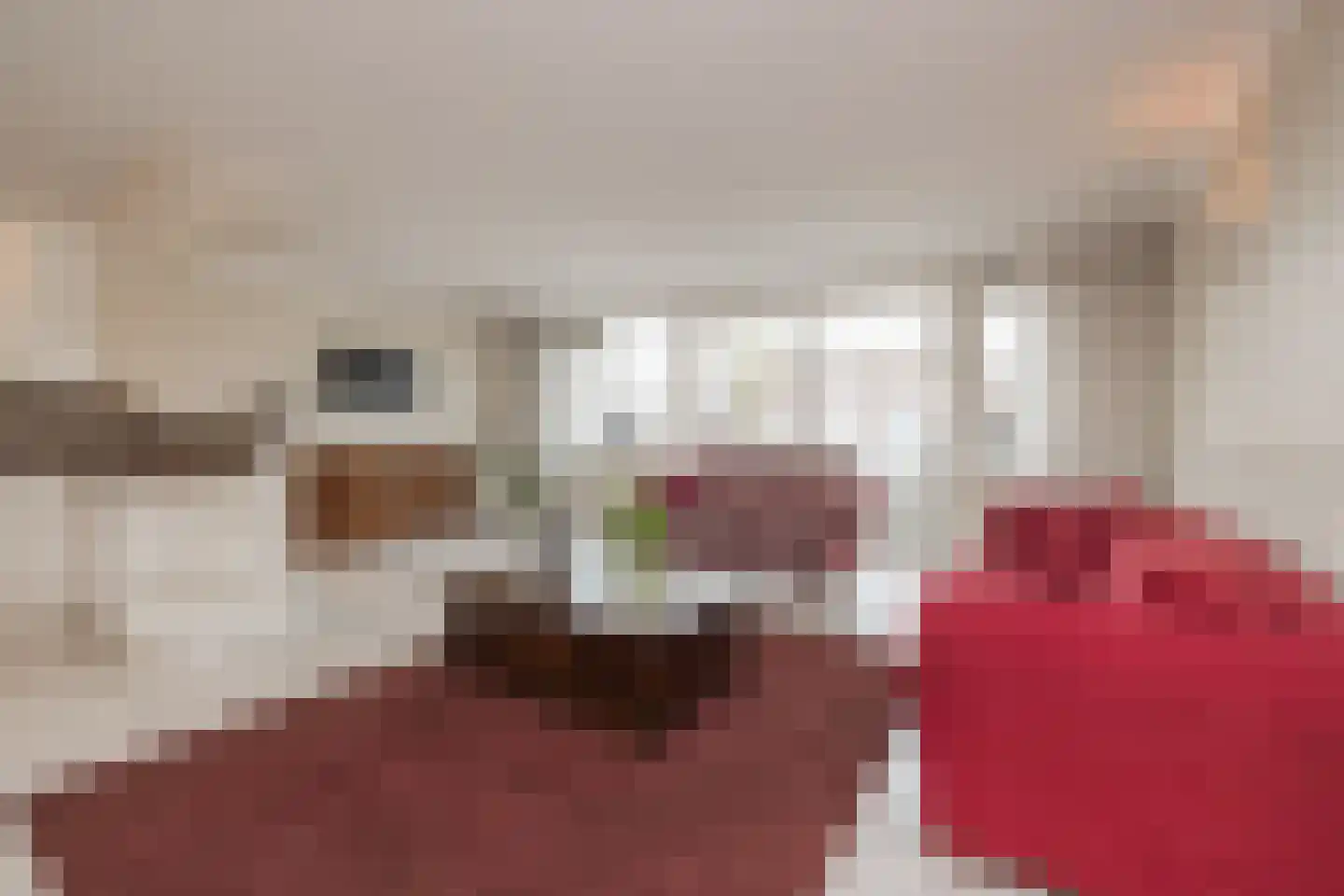 Oranjelaan 21 Rijnsburg thumbnail 20