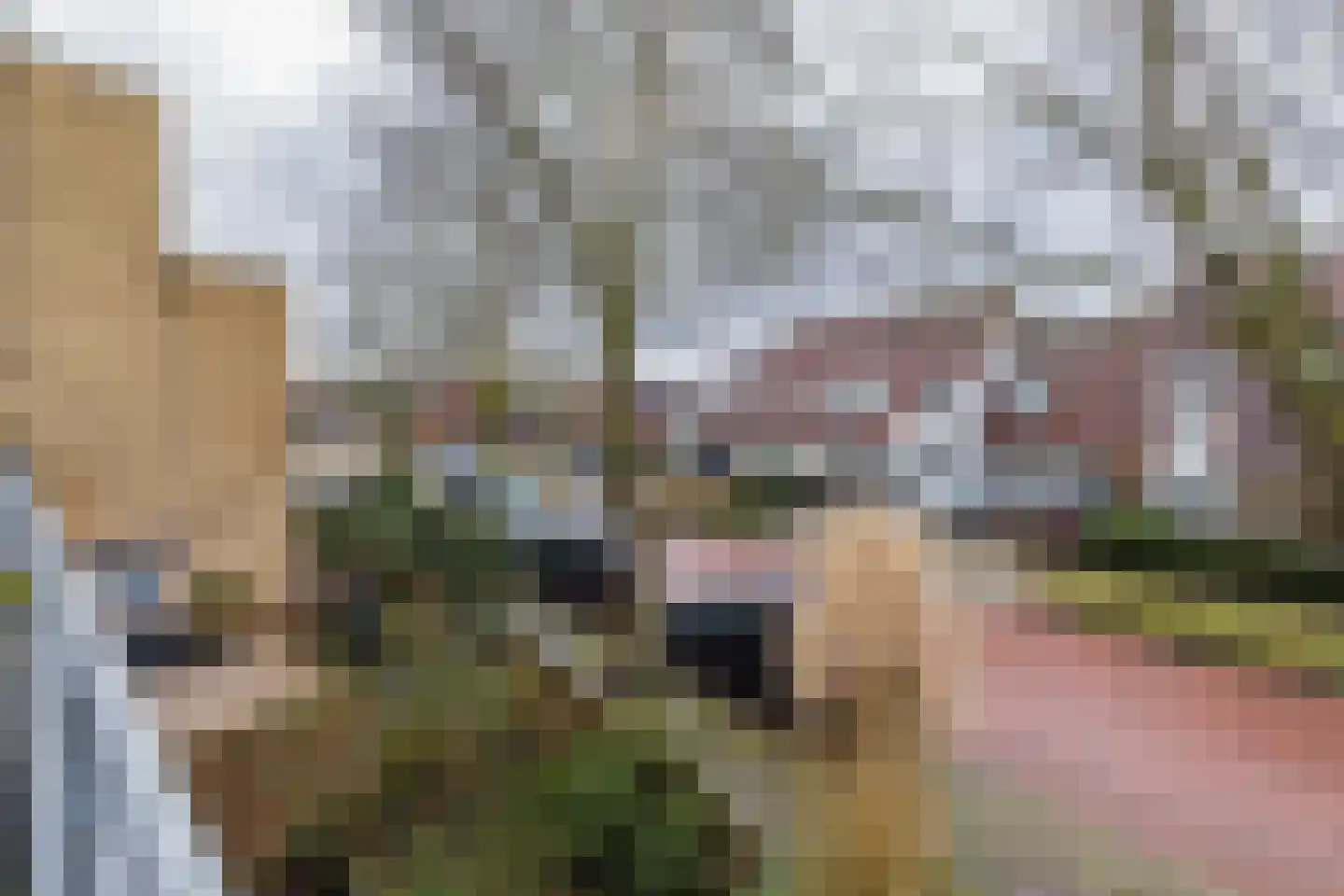 Oranjelaan 21 Rijnsburg thumbnail 24