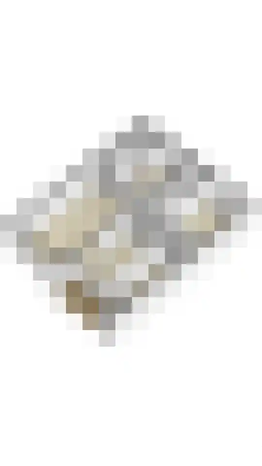 Oranjelaan 212 Geleen thumbnail 34