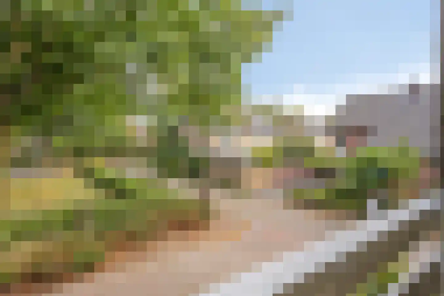 Oranjelaan 22 Baarle-Nassau thumbnail 19