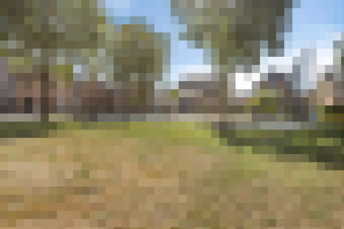 Oranjelaan 22 Baarle-Nassau thumbnail 37