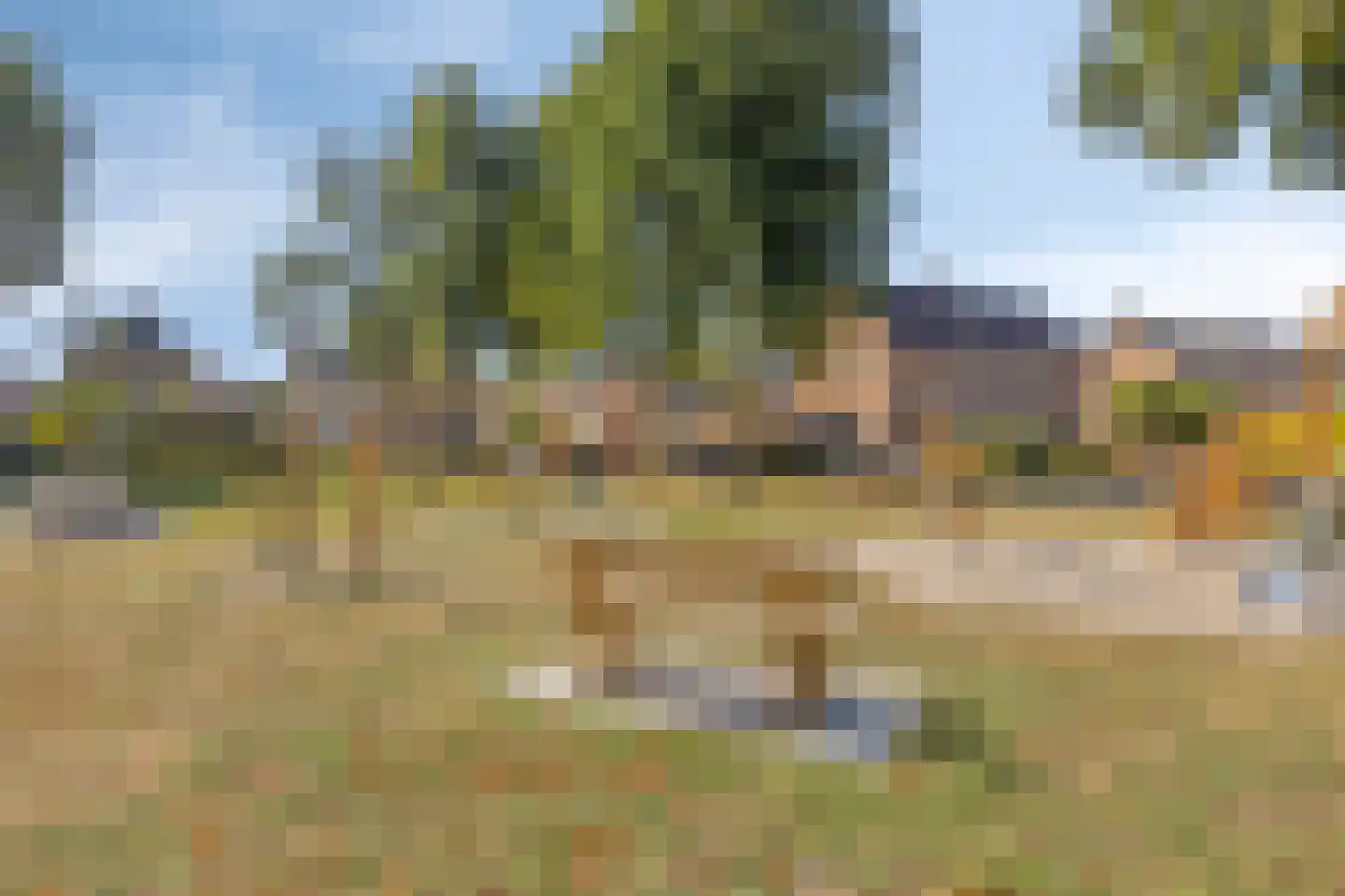 Oranjelaan 22 Baarle-Nassau thumbnail 38