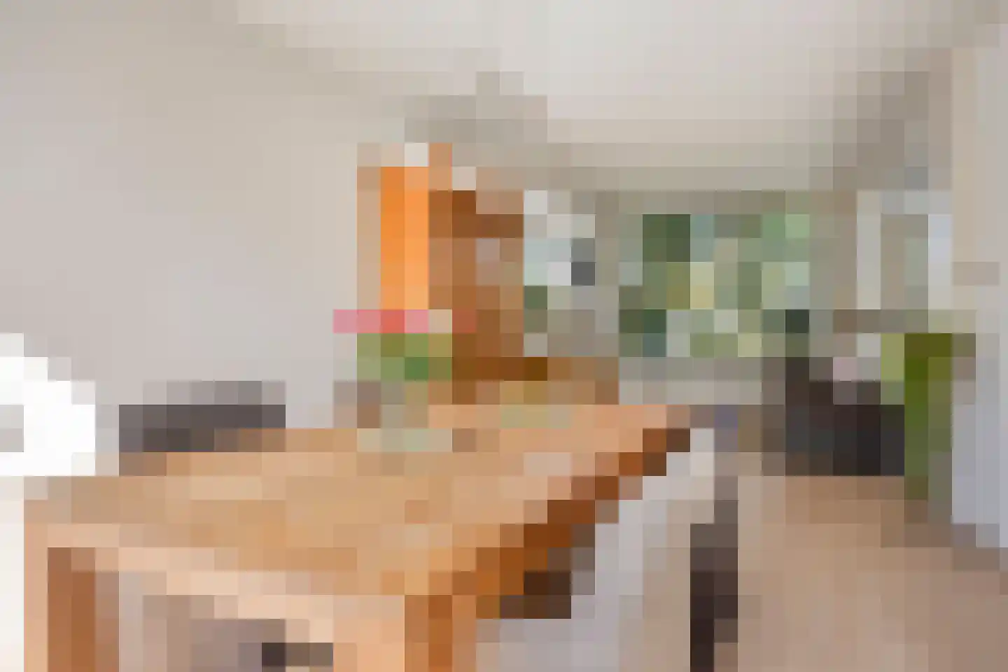 Oranjelaan 22 Baarle-Nassau thumbnail 7