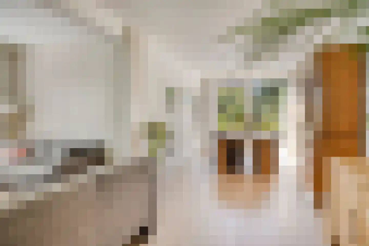 Oranjelaan 22 Baarle-Nassau thumbnail 9