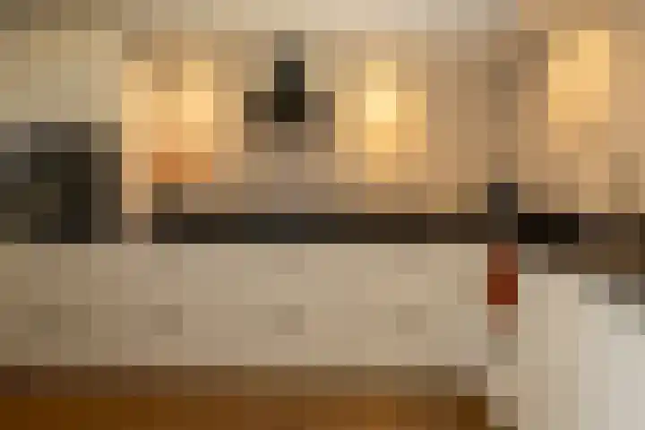 Oranjelaan 22 Nunspeet thumbnail 16