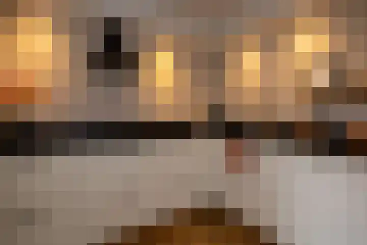 Oranjelaan 22 Nunspeet thumbnail 17