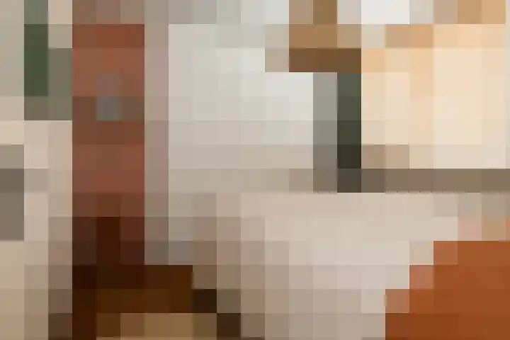 Oranjelaan 22 Nunspeet thumbnail 22