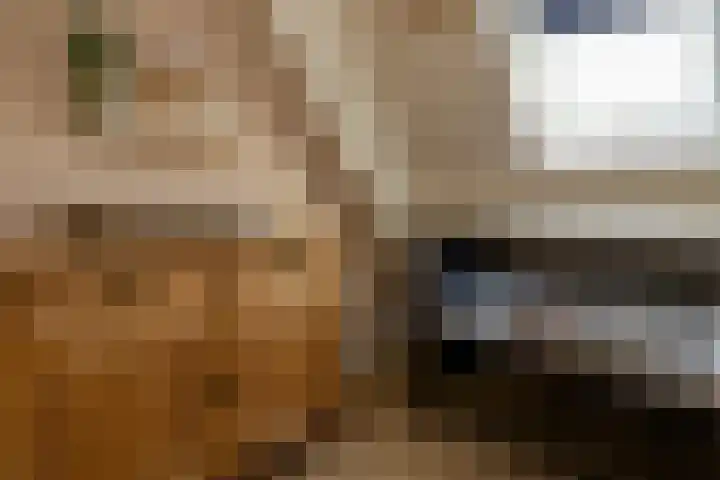 Oranjelaan 22 Nunspeet thumbnail 27
